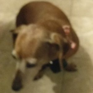 Meet your Posher, Kate